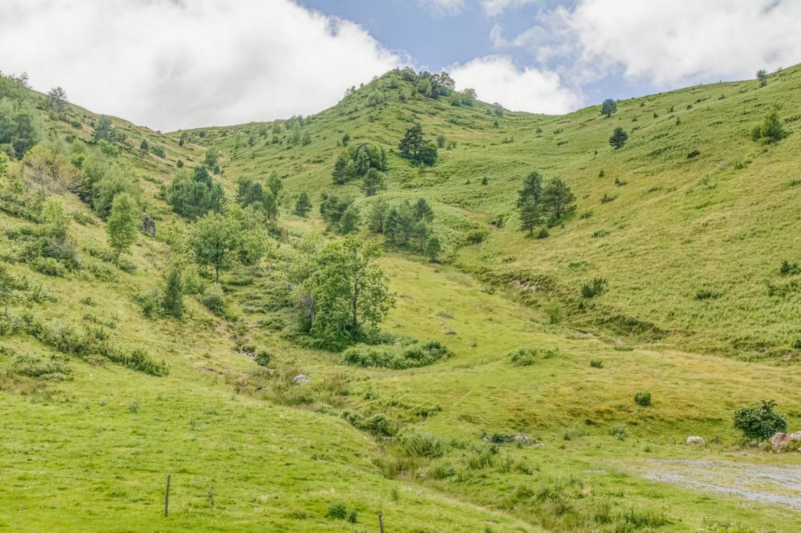 Appartement Alpin A 200M Des Pistes Génos Dış mekan fotoğraf